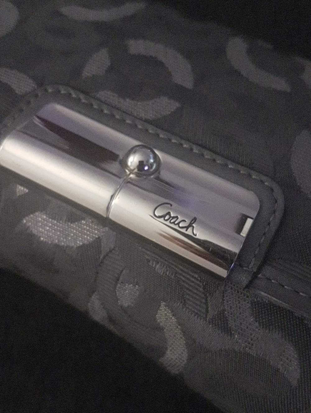 Coach Metallic Silver Phone Case Accessory